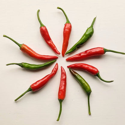 Round arrangement of fresh red and green Thai Dragon Chilli pods on a white background.