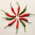 Round arrangement of fresh red and green Thai Dragon Chilli pods on a white background.