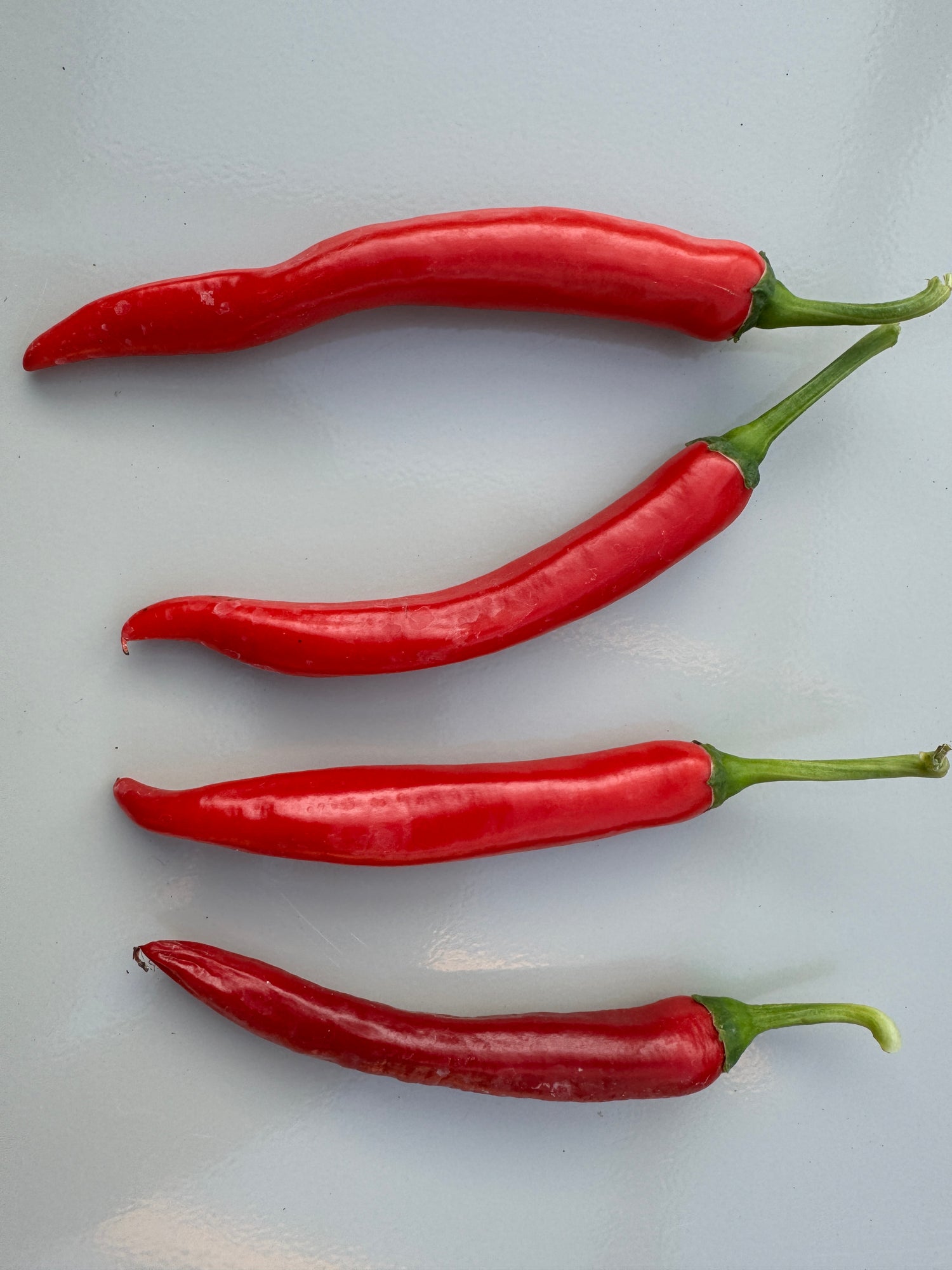 Four vibrant red XL Cheyenne Mutant chilli peppers with green stems on a pale background, highlighting their elongated shape.