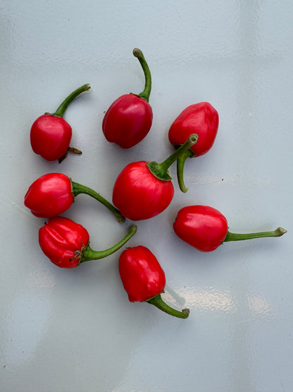 Bright red Dalle Khursani chillies from Nepal resembling cherries with green stems, displayed on a light surface.