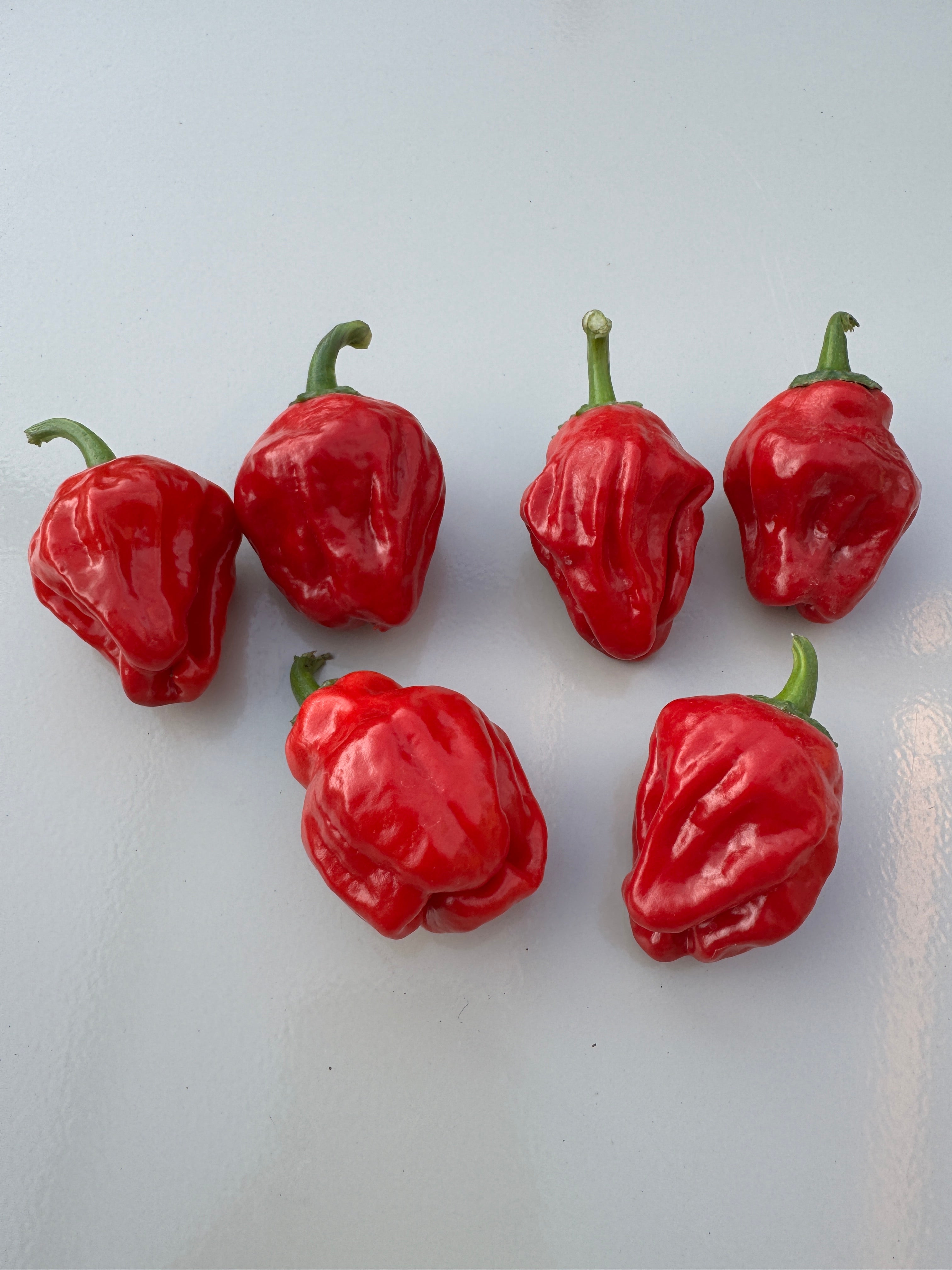 Six ripe Scotch Bonnet chillies, vibrant red, showcasing their unique wrinkled texture and green stems on a light background.