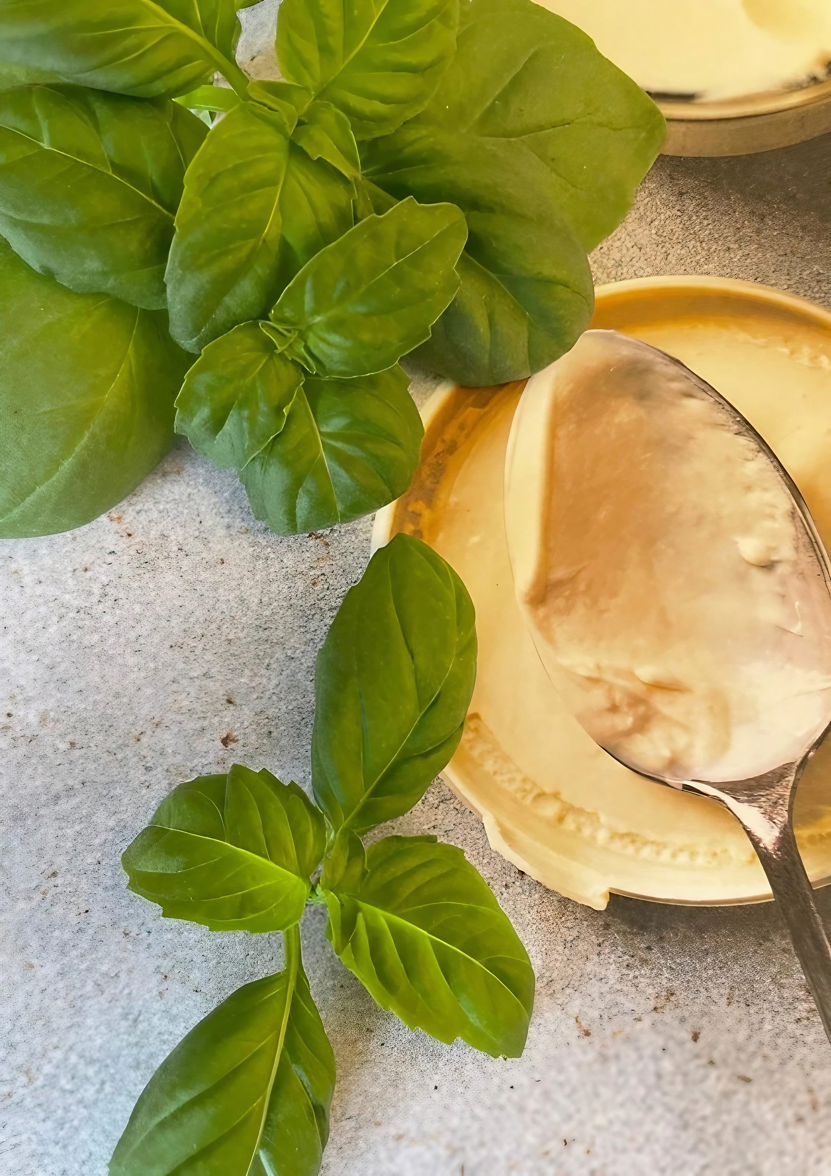 Basil Thai Large Leaf Bishy Barnabees Cottage Garden