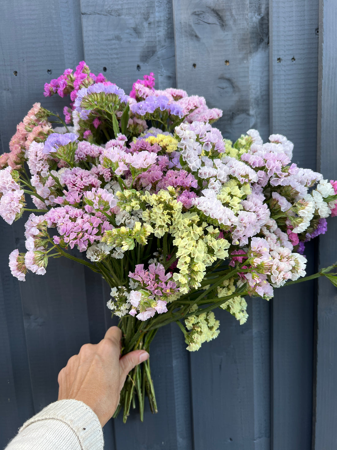 Mixed bunch of colorful statice dried flowers against a wooden background, showcasing purple, pink, white, cream, and yellow blooms.