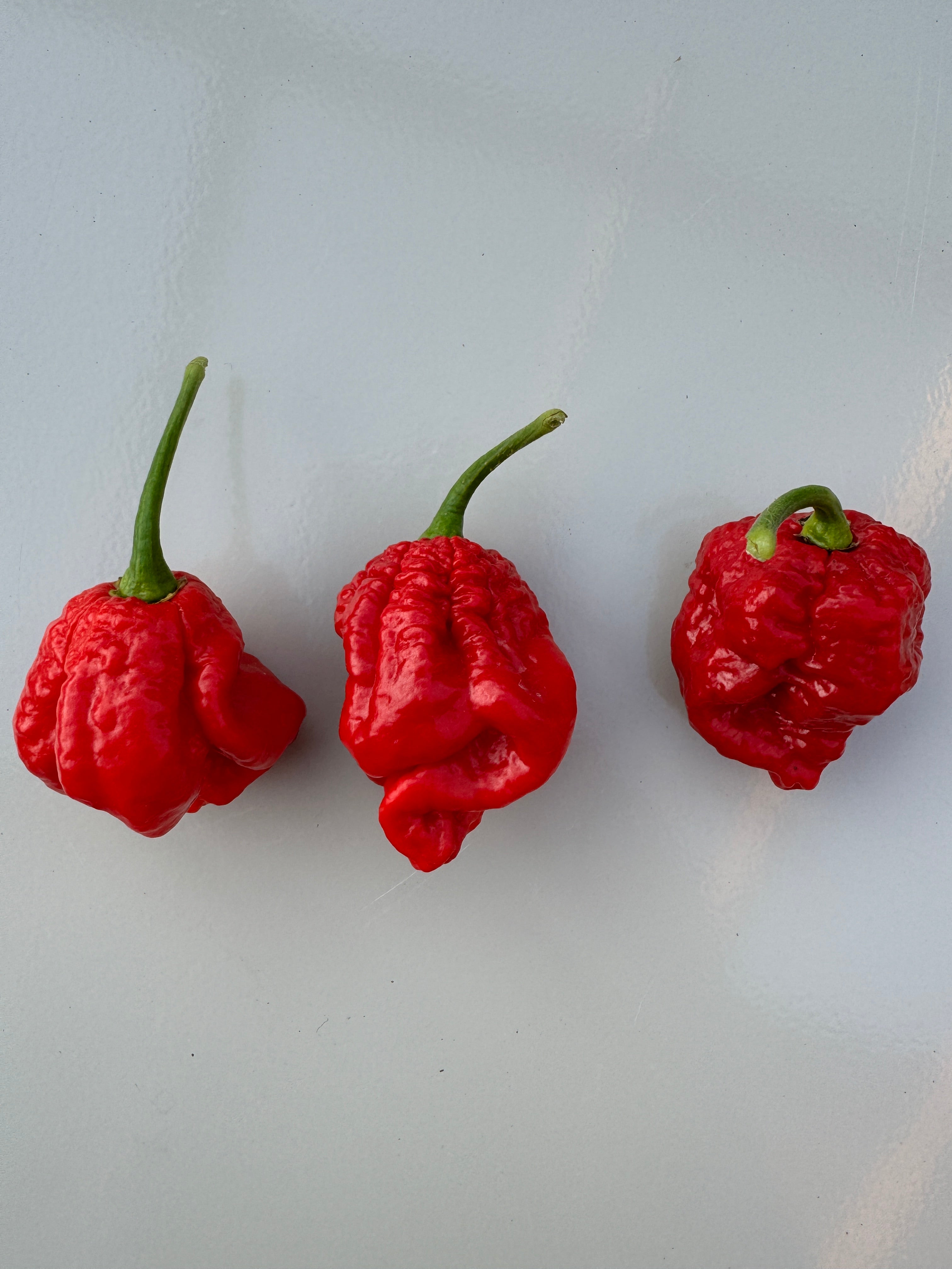 Three red Armageddon chillies with green stems on a light background showing their wrinkled texture and vibrant colour.