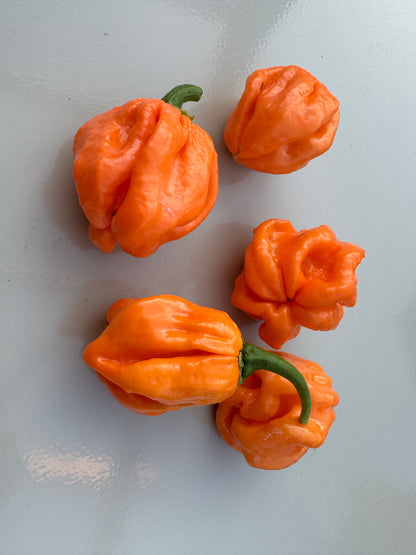 Fresh orange Scotch Bonnet Freeport chillies showcasing unique shape and vibrant colour on a light surface.