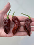 Three dried Naga Black Chilli peppers held in a hand, showcasing their unique wrinkled texture and dark reddish colour.