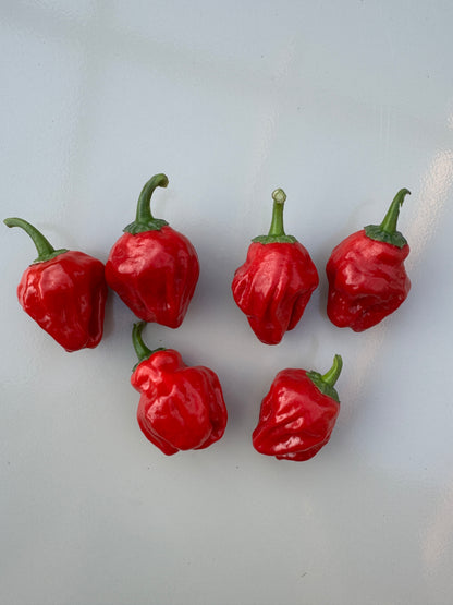 Bright red Scotch Bonnet chillies showcasing their unique shape and vibrant color against a light background.