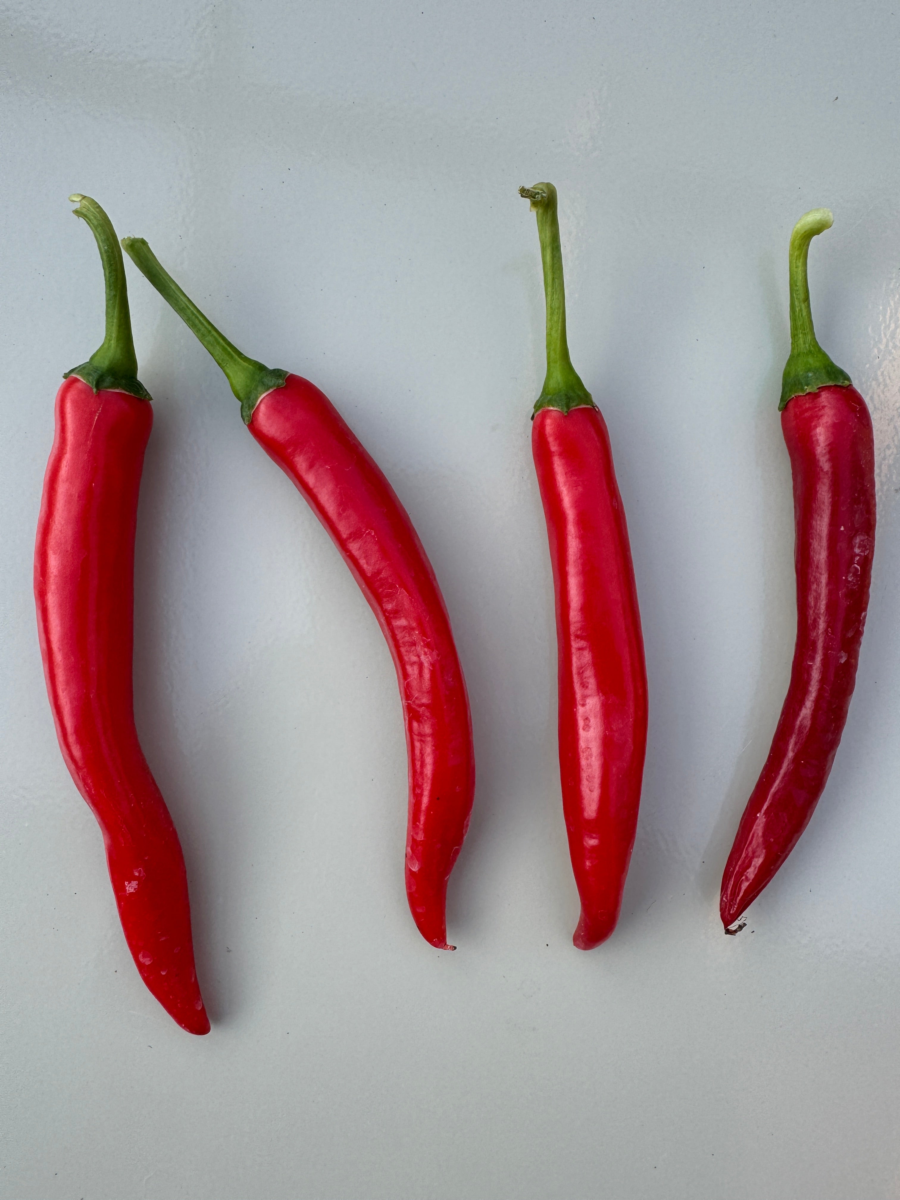 Four red XL Cheyenne Mutant chilli peppers on a light surface, showcasing their long, curved shape and vibrant colour.