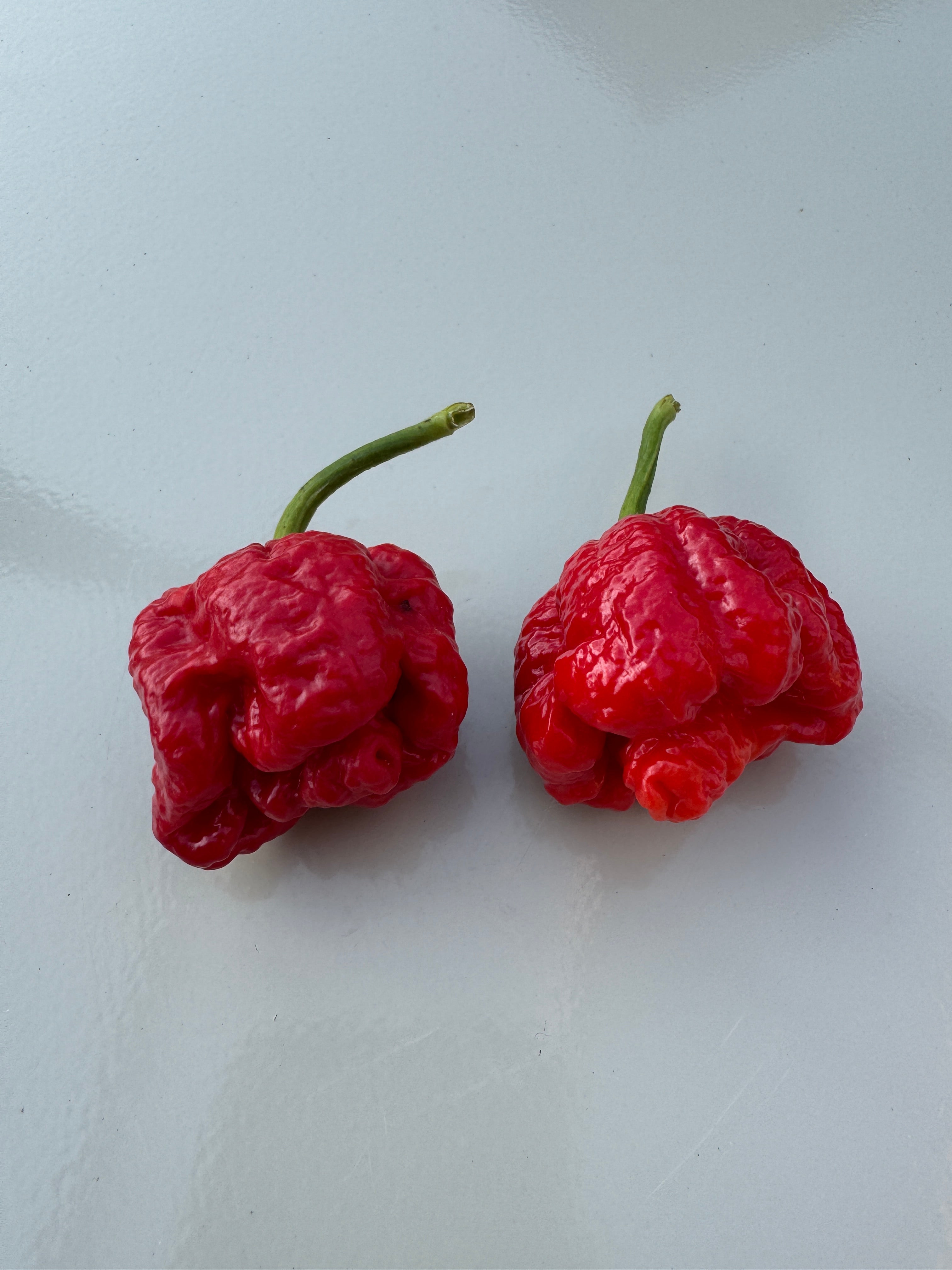 Two ripe red Moruga Scorpion chillies with green stems on a light surface, known for intense heat and origin from Trinidad and Tobago.