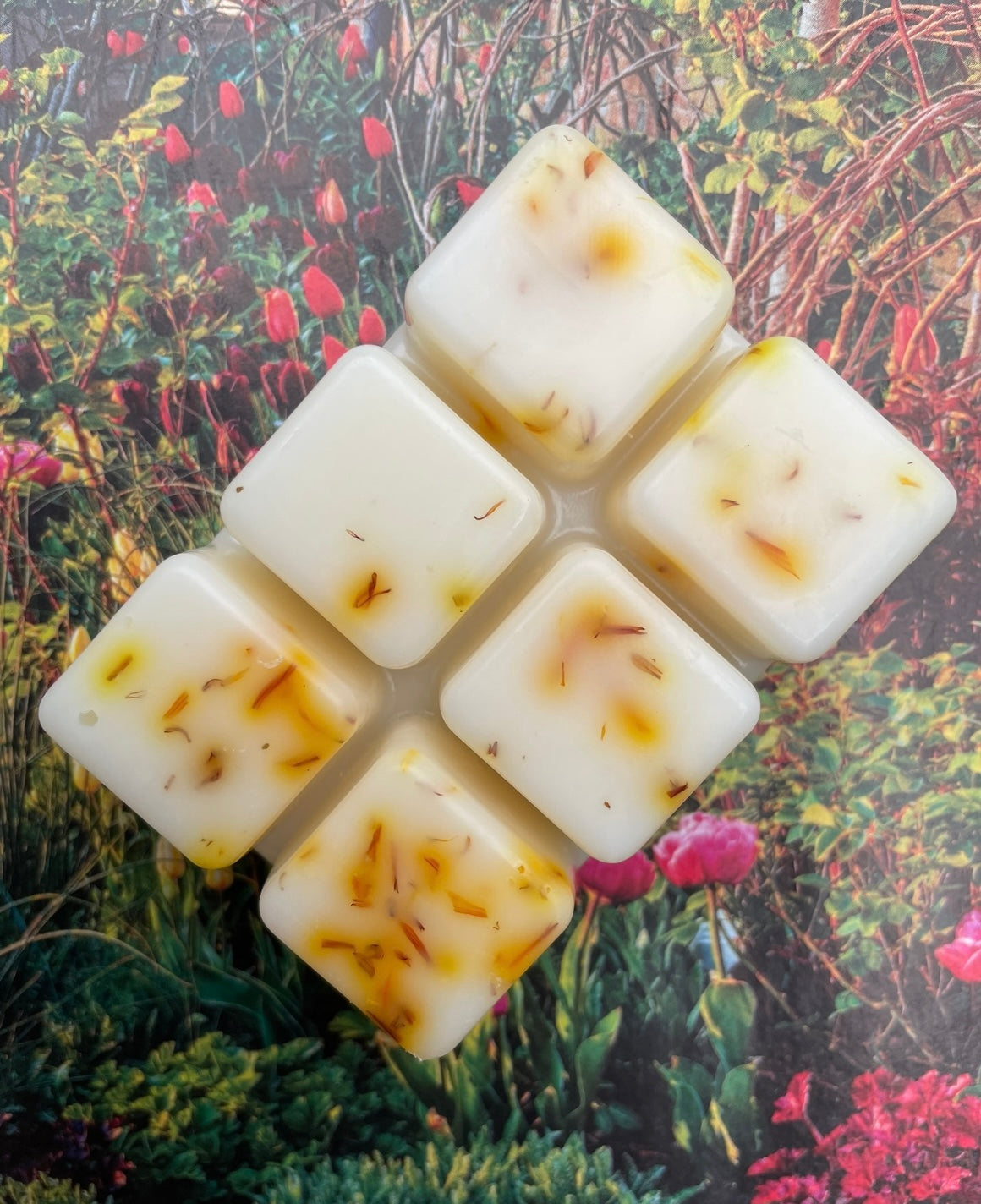 Coffee Caramel Botanical Wax Melt Bar