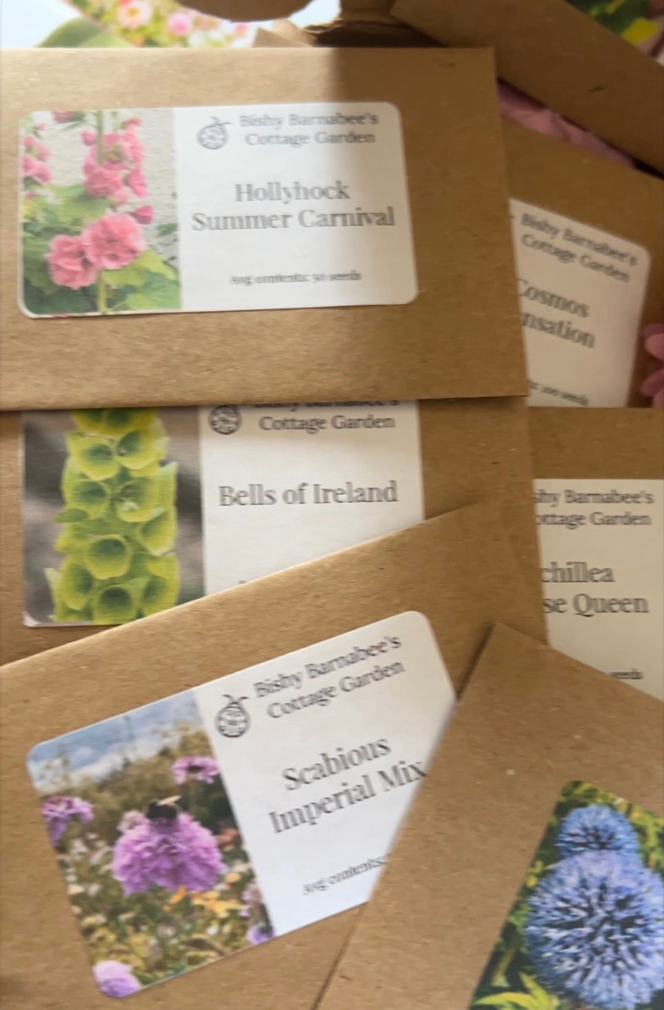 A Year in a Cottage Garden - Flower Box (12 Packs)