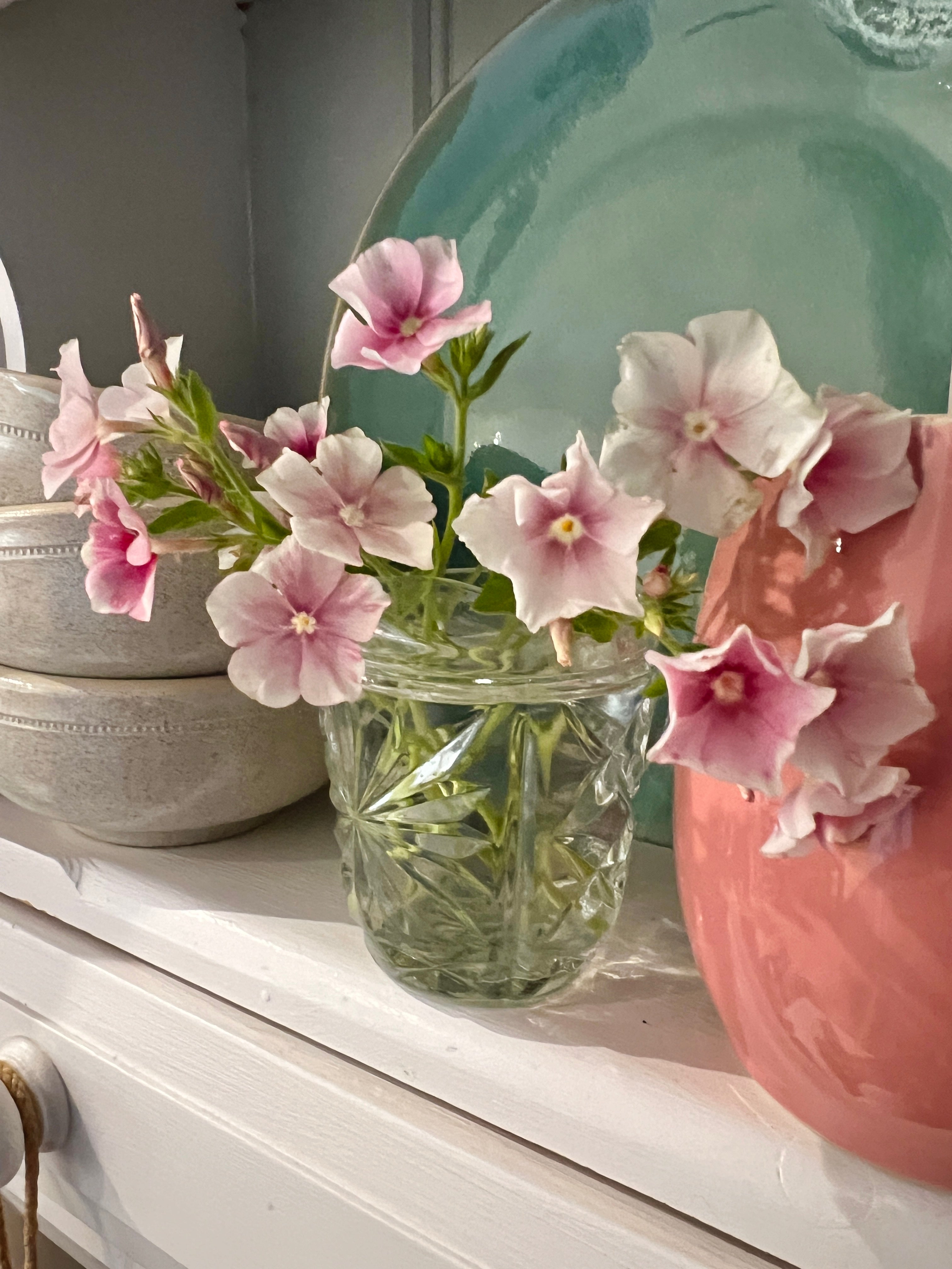 Phlox Blushing Bride flowers in a vase, featuring blush pink and silvery white petals on a decorative shelf.