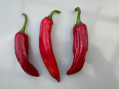 Three ripe red Anaheim chillies with green stems, displayed on a light surface, known for mild flavor and excellent stuffing qualities.