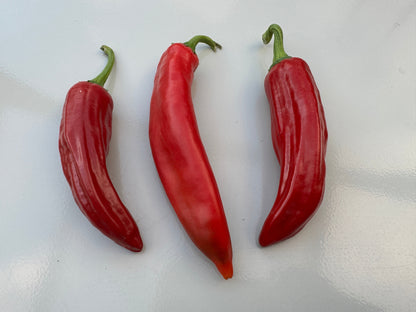 Three ripe red Anaheim chilli peppers on a white background.