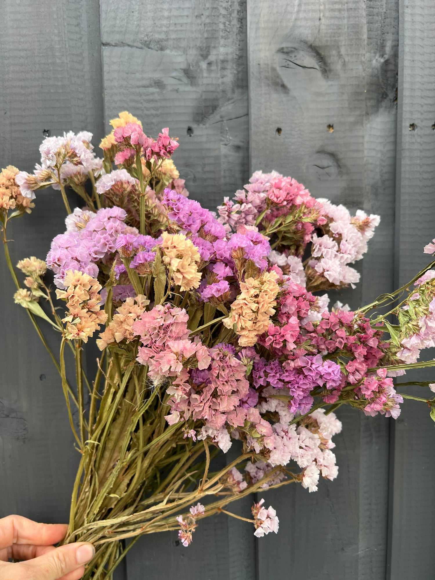 Mixed bunch of vibrant dried statice flowers in purple, pink, and cream against a rustic wooden background.