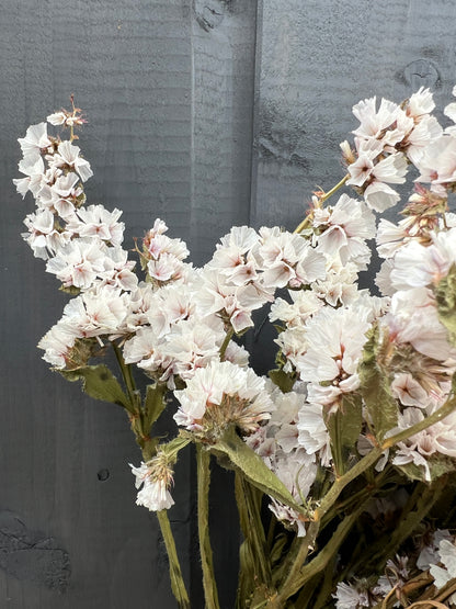 Cream statice dried flowers against a rustic backdrop, showcasing sustainable blooms from Norfolk.