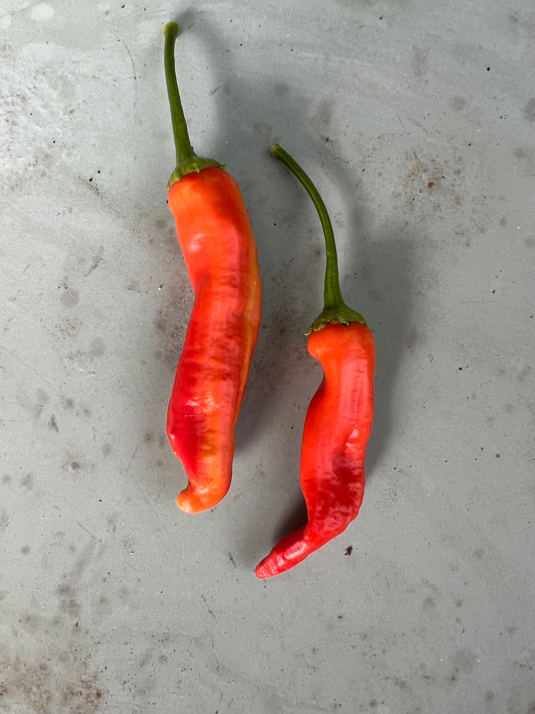 Aji Crujiente Chilli