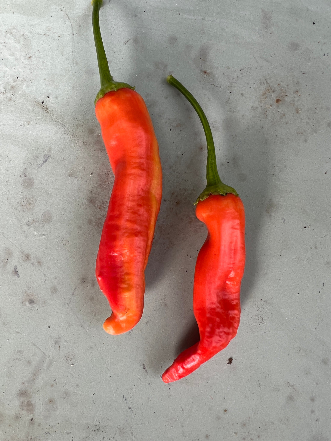 Aji Crujiente Chilli