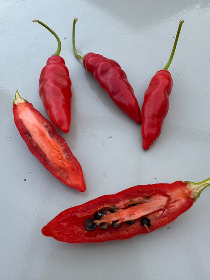 Five vibrant Aji Largo Rocoto Red Chillies, some whole and some sliced open, displaying juicy flesh and black seeds.