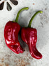 Two ripe Santa Domingo Pueblo chili peppers resting on a textured surface, showcasing their vibrant red color and unique shapes.