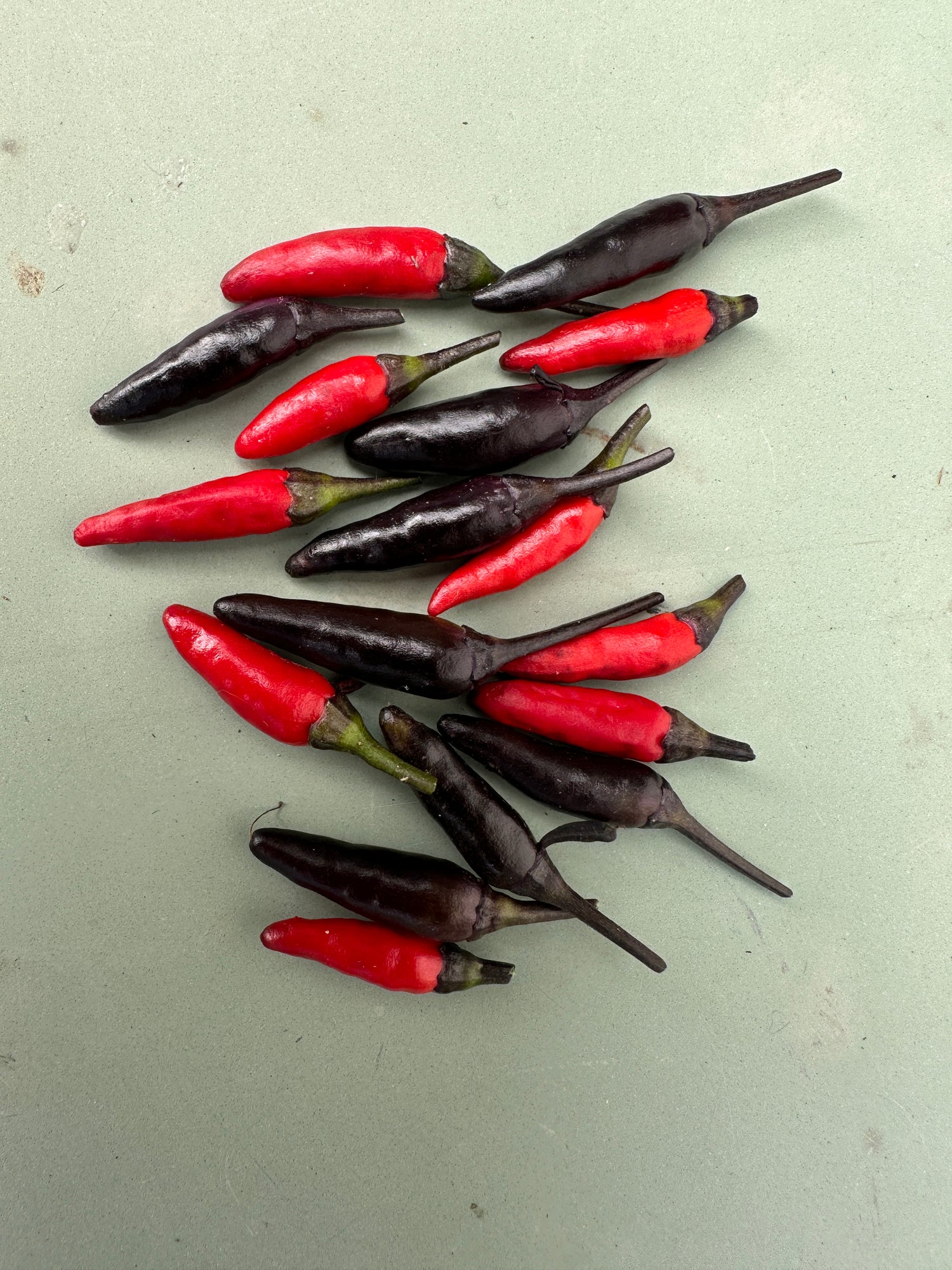 Variety of Zimbabwe Black Chilli peppers, featuring red and dark pods, on a flat surface.