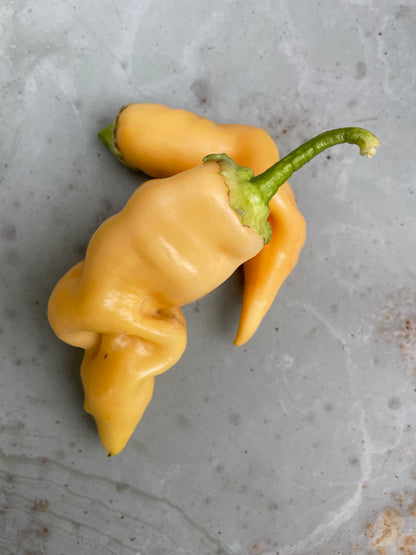 Fresh Sugar Rush Peach Chilli peppers on a textured surface, showcasing their unique shape and vibrant yellow color.