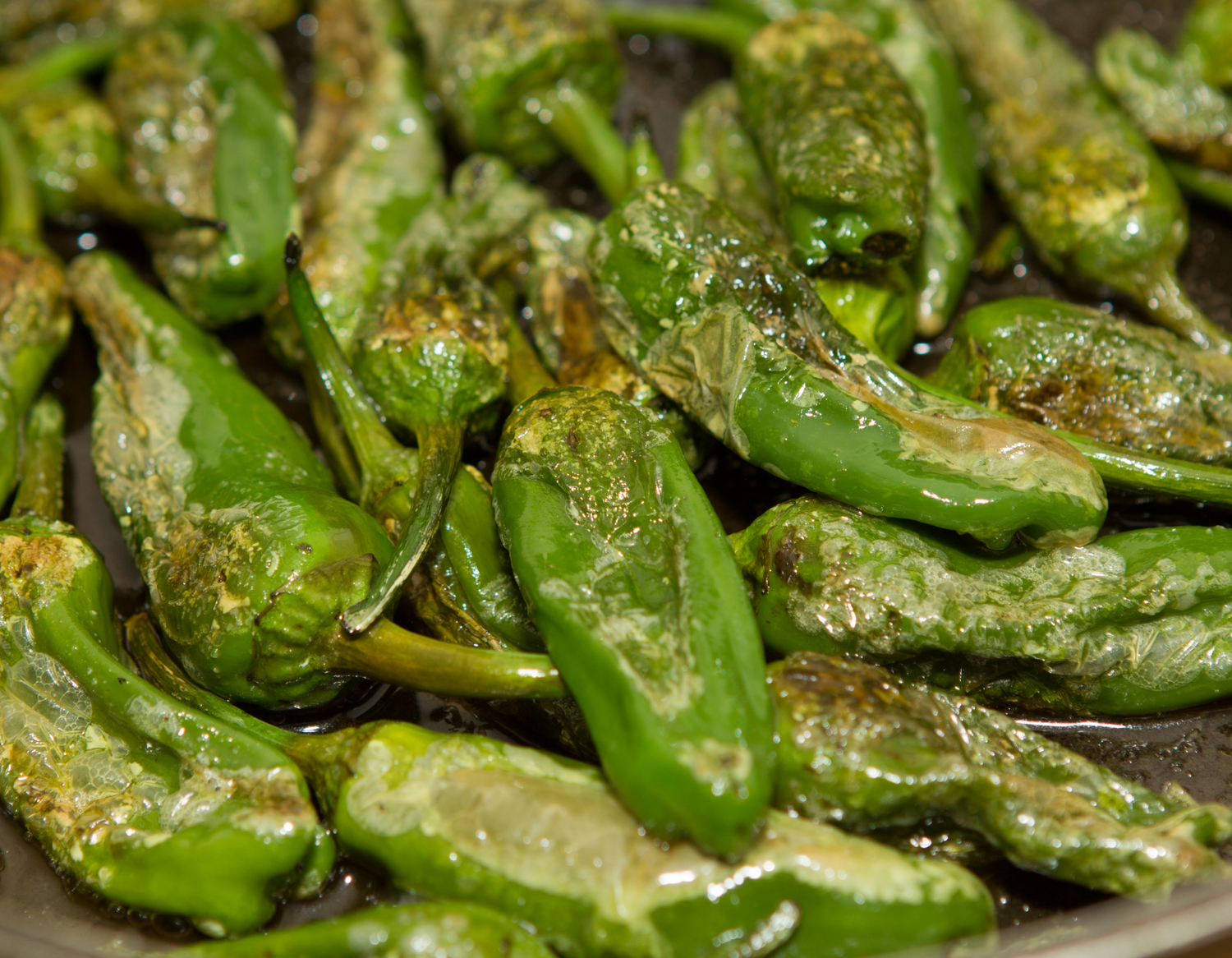 Pimientos di Padron Chilli