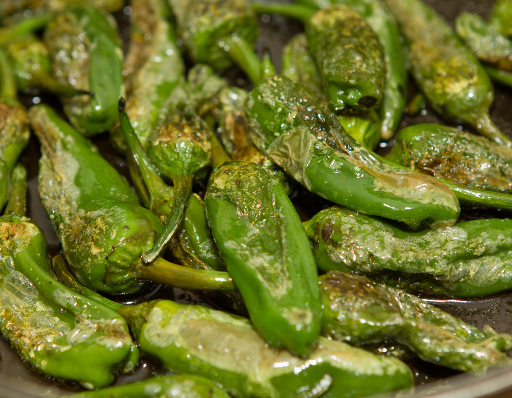 Pimientos di Padron Chilli