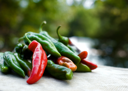 Fresh Anaheim chilli peppers on a table, showcasing vibrant green and red colours.