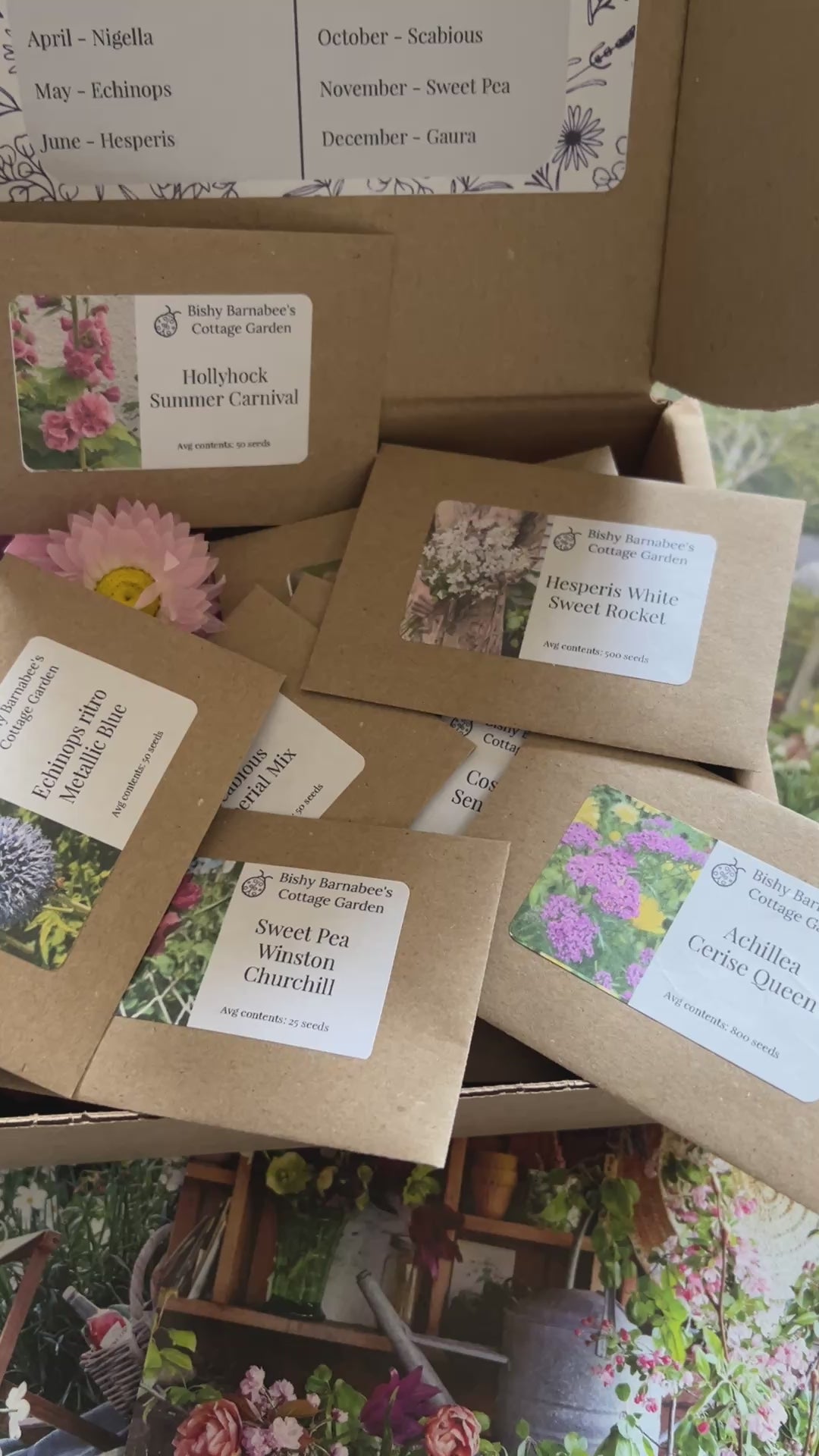 A Year in a Cottage Garden - Flower Box (12 Packs)